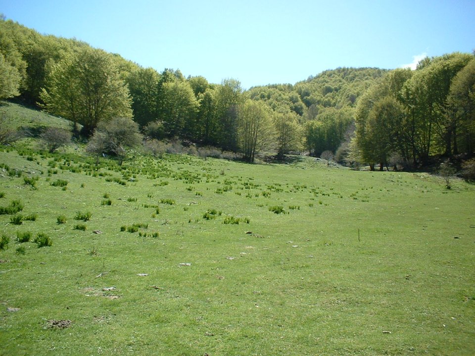 parco dei monti simbruini